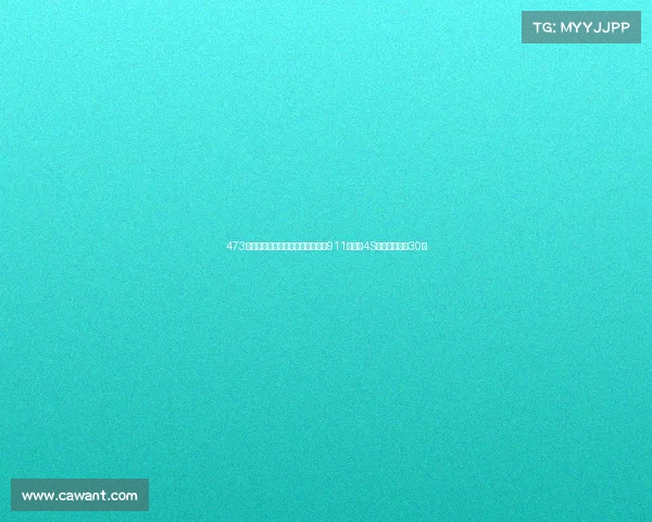 473马中置四驱猛兽来袭!新款保时捷911卡雷拉4S升级涡轮多轰30匹